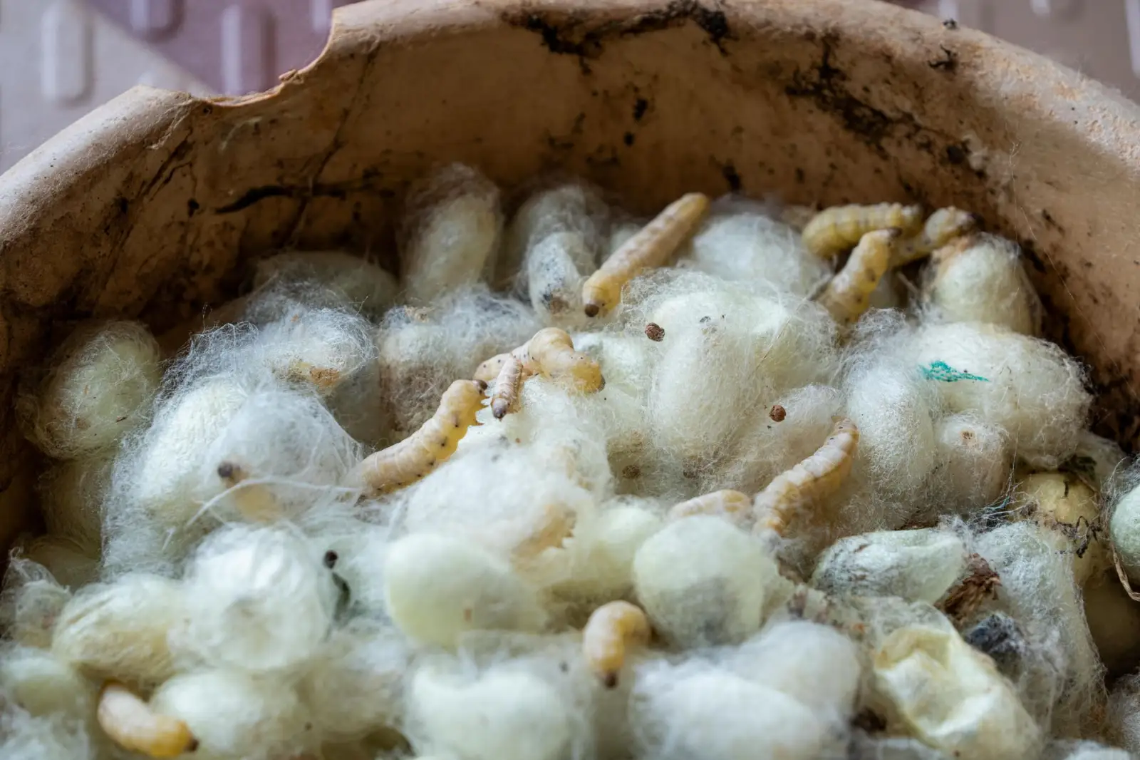广告物料定制选购指南：从材质到工艺的对比分析