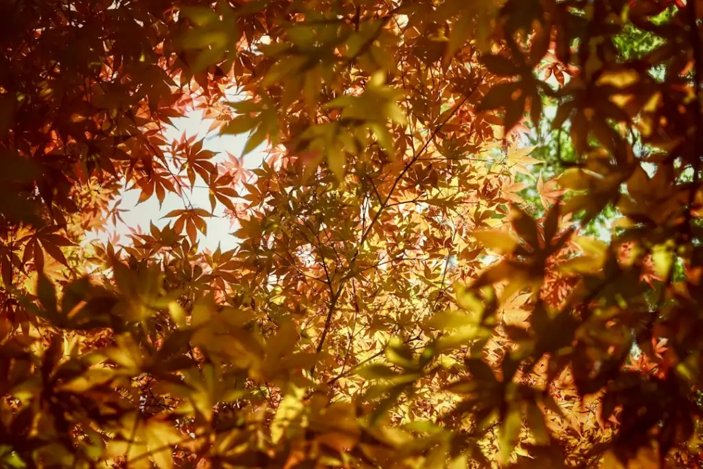 湖北广告制作选材指南：喷绘写真与标识标牌物料对比分析