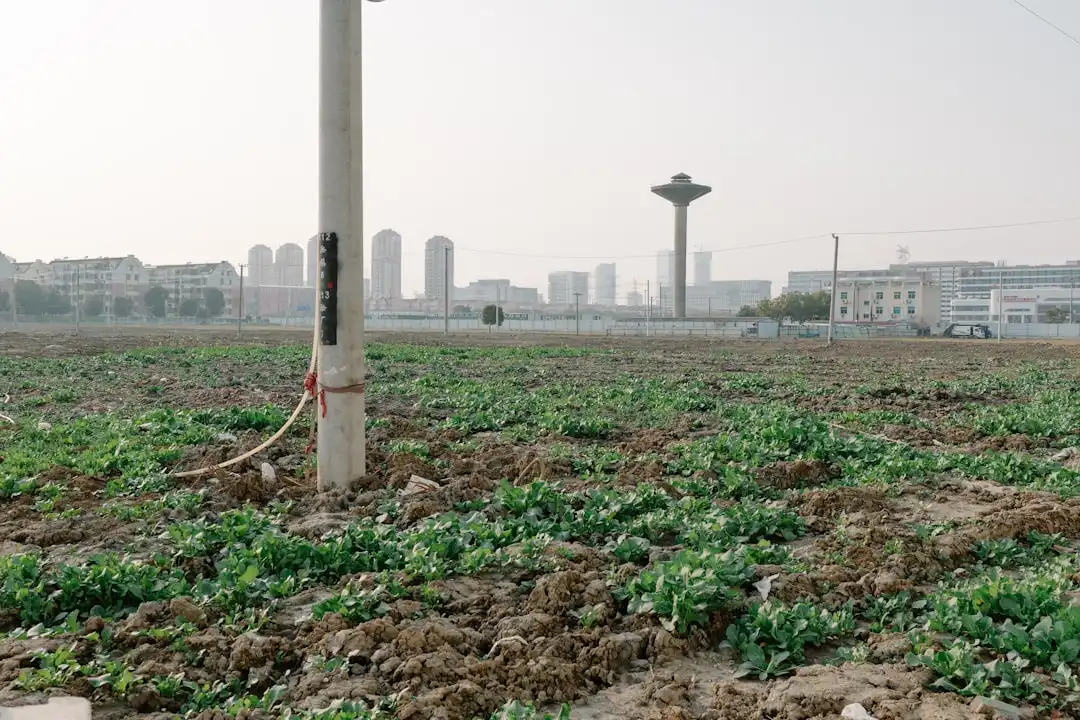 华中地区广告喷绘写真工艺技术升级与质量管控要点解析