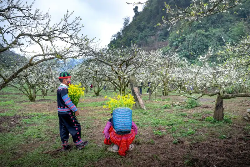 广告制作中喷绘写真与UV打印的工艺差异及适用场景对比