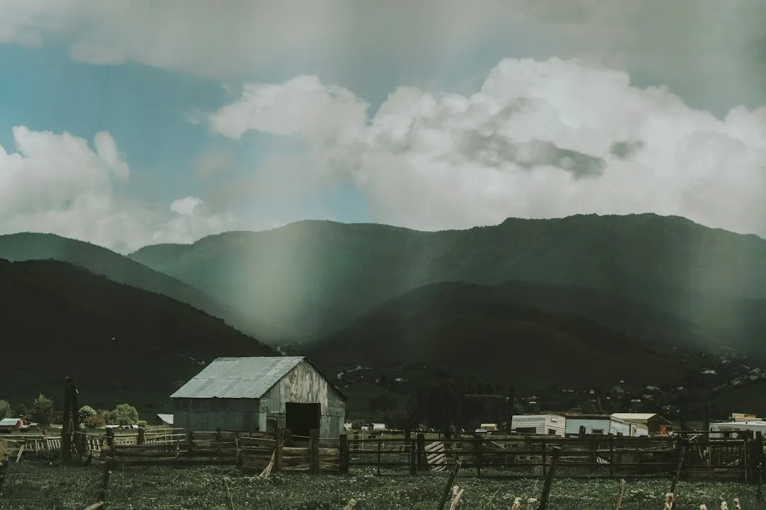 湖北广告制作选型指南：喷绘写真与标识标牌材质对比分析